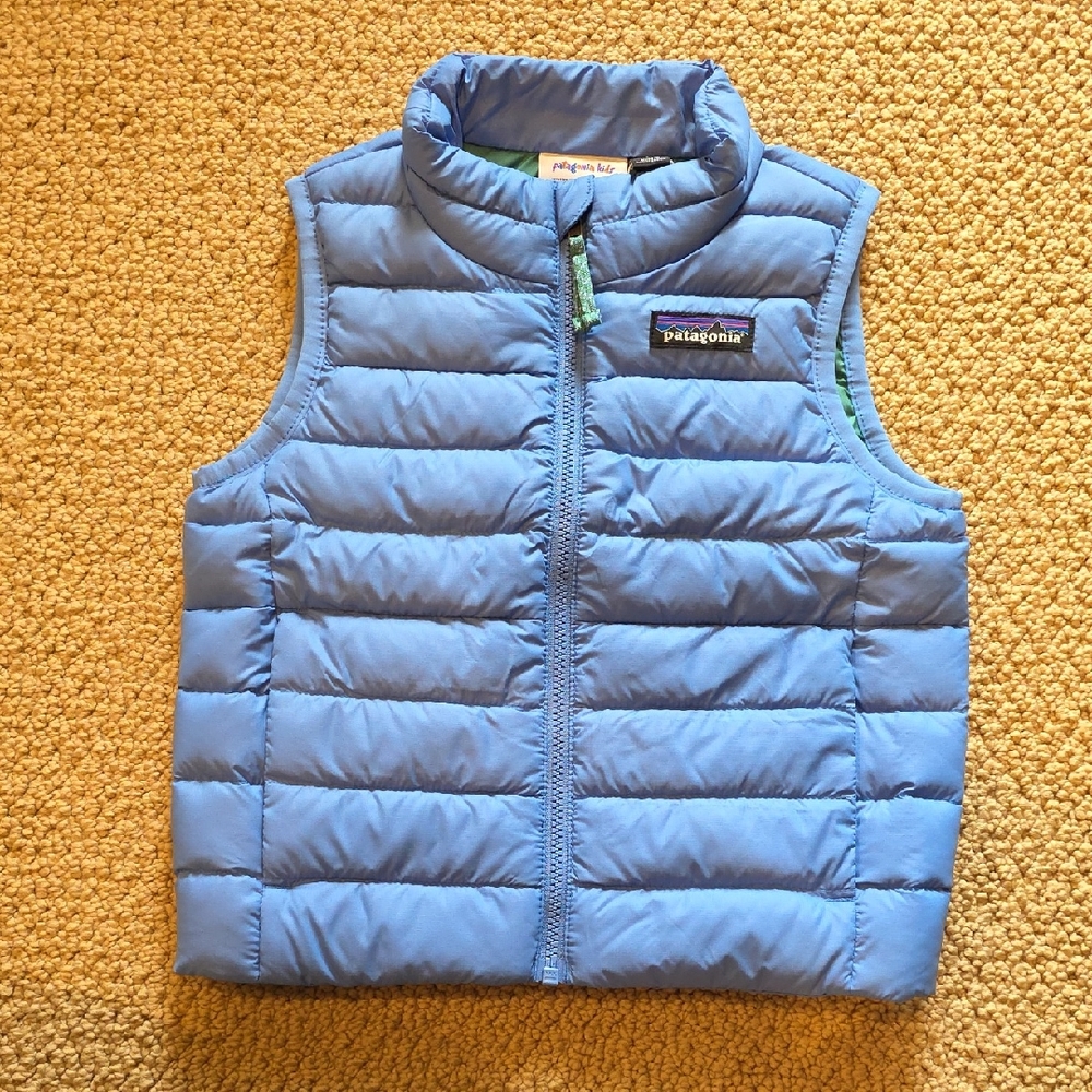 NWT, Patagonia Baby Down Sweater Vest